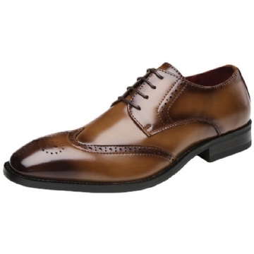 Miesten Juhlakengät Brogue Lace Up Teräväkärkinen Lehmännahka